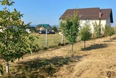 Casă cu 3 camere cu Teren 88 Mp în Berchișești - 3