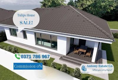 Casă cu Teren 500 Mp în Sântandrei - 9