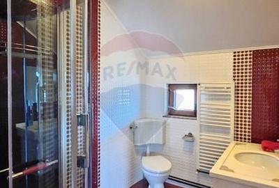 Casă cu 6 camere cu Teren 10331 Mp în Sohodol - 36