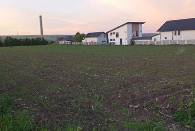 Teren de 500 mp, în Lisaura - 3