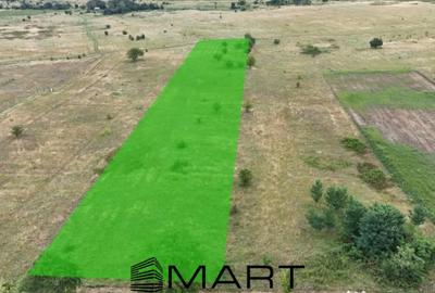 Teren de 5000 mp, în Avrig - 2