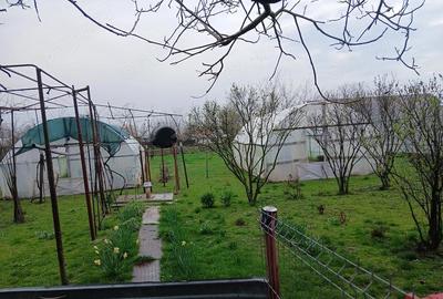 Casă cu 4 camere cu Teren 1500 Mp în Central - 7