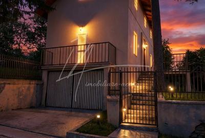 Teren intravilan 1740 mp. cu casa intabulata in PH-PROVITA DE SUS - 50