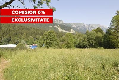 VANZARE TEREN INTRAVILAN SINAIA-CUMPATU Strada Zamora-9.801 mp-Comision 0% - 25