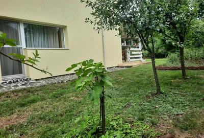 Casă cu 5 camere cu Teren 812 Mp în Central - 2