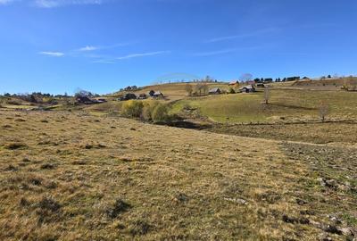 Teren extravilan, 4130mp, cu parau, la 500m de Primaria Marisel - 6