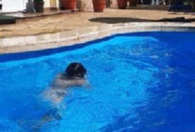 PROPIETAR, VILA CU ETAJ,4 CAMERE, PISCINA, GARAJ | FALEZA NORD | COMPLEX UNIRII - 8