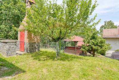 Casa / Vila  de vacanta ideala in satul Drumul Carului, zona Moieciu - 10