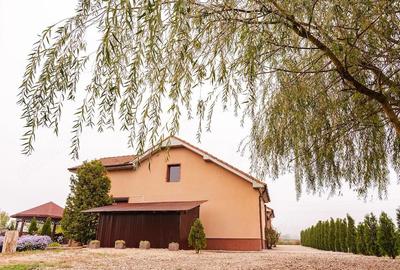 Casă cu 4 camere cu Teren 3200 Mp în Archiș - 13