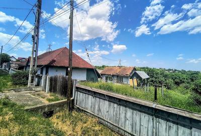 Casă cu Teren 3200 Mp în Horodnic - 3