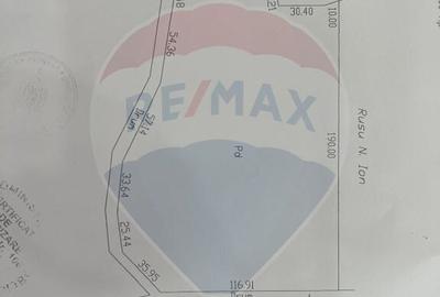 Padure stejar Racoasa - Varnita/ Drumul Varnita - 2