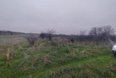 Teren de 2500 mp, în Cârcea
