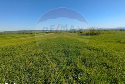 Teren de 1668 mp, în Gura Râului