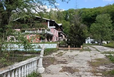 Teren de 8900 mp, în Sud-Vest - 1