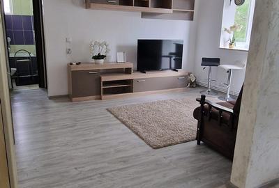 Apartament cu 2 camere semidecomandat în Scărișoara