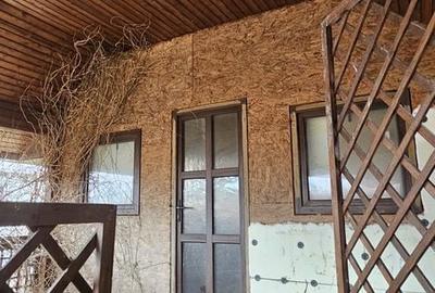 Casă cu 3 camere cu Teren 2800 Mp în Bucșani - 16