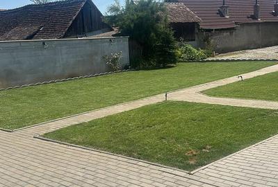 Casă cu 10 camere cu Teren 1000 Mp în Roșia - 4