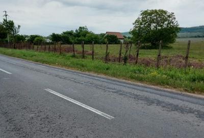 Teren de 11780 mp, în Merei - 4