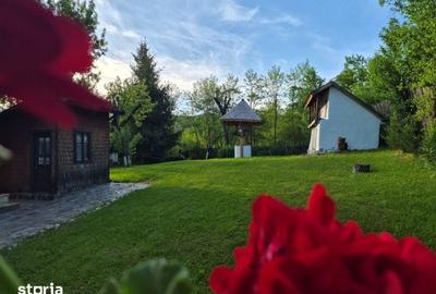 Casă cu 3 camere cu Teren 2250 Mp în Cerașu - 6