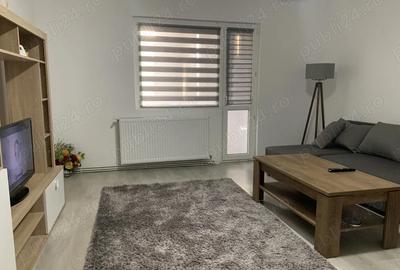 Apartament cu 2 camere semidecomandat în Pod - 8