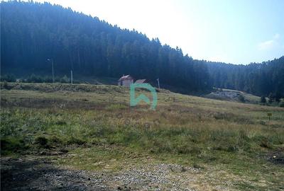 Teren Construcții intravilan de 1500 mp, în Poiana Angelescu - 2