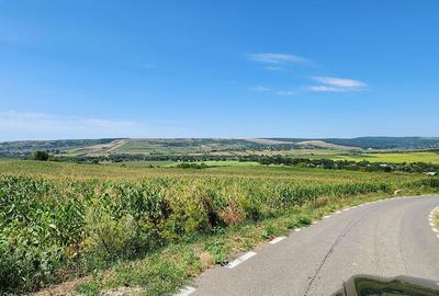 Teren de 21000 mp, în Scânteia - 7