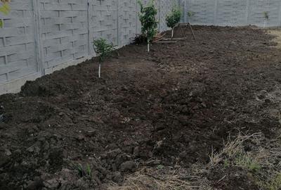 Teren de inchiriat in Dumbravita, 1E mp. - 5