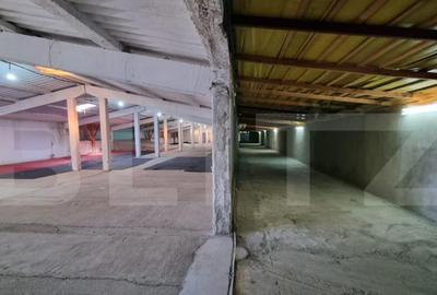 Complex hale, randament atractiv, 6800mp utili, zona Autostr - 5