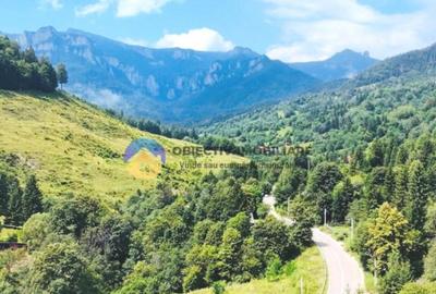 TEREN Izvoru Muntelui, langa orasul BICAZ - 5