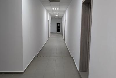 Spatii comerciale si de birou, zona Arena Mall - 2