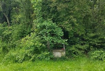 Teren Construcții intravilan de 5090 mp, în Vâlcele - 15