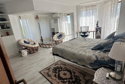 Vanzare vila superbă, P+1+Pod, Albota - 13