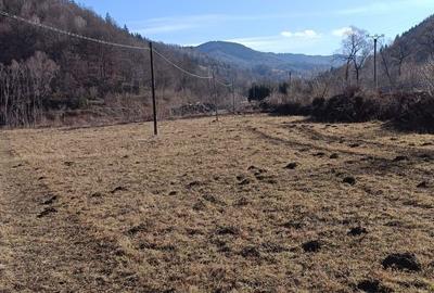 Spațiu comercial, în Pintic - 6