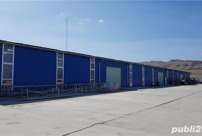 Spațiu comercial, de 360 mp, în Sava - 7