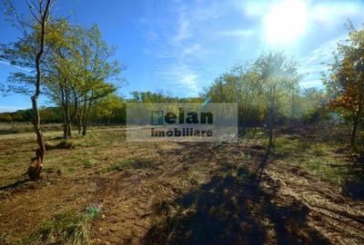 Snagov Ciofliceni Mânastire- Teren 1432 mp, d 60 m, curent gaze asfalt Snagov Ciofliceni Mânastire- Teren 1432 mp, d 60 m, curent gaze asfalt - 3