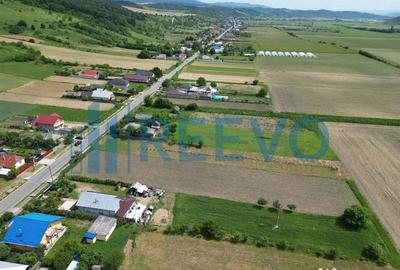 Teren de 3043 mp, în Prisaca - 2