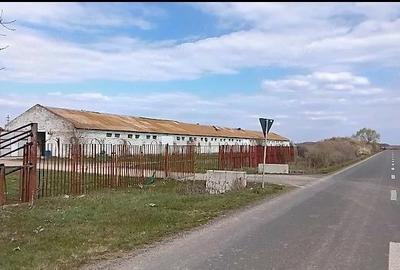 Teren de 16575 mp, în Sintea Mare - 2