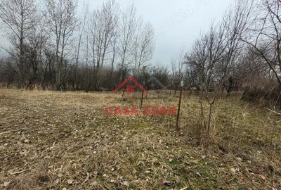 Casă cu Teren 1358 Mp în Gura Beliei