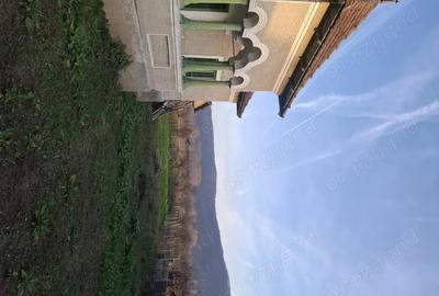 Casă cu Teren 4443 Mp în Pleșoiu (Nicolae Bălcescu) - 9