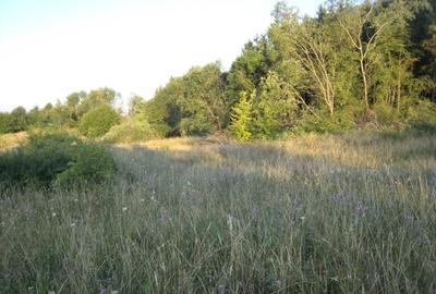 INVESTITIE! Teren intravilan 5700mp - Chinteni, jud Cluj! - 2