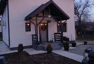 Casă cu 4 camere cu Teren 977 Mp în Brebu - 6