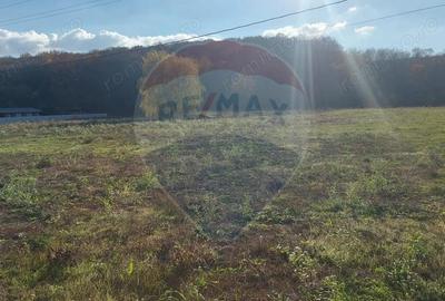 Teren intravilan de vanzare in Hidiselul de Jos, jud.Bihor - 5