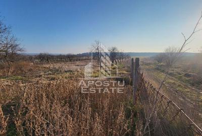 Teren de 3844 mp cu proiect autorizat pt casa individuala,in Pischia, - 2