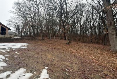 Teren de 559 mp, în Central