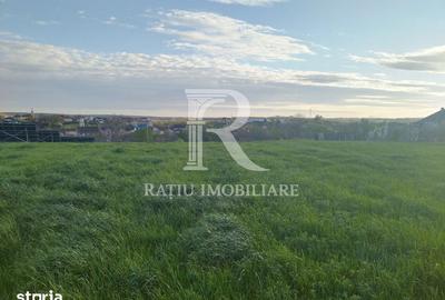 Casă cu 3 camere cu Teren 1440 Mp în Sânmartin - 2