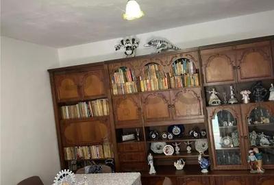 Casă cu 3 camere cu Teren 3300 Mp în Felcheriu - 17