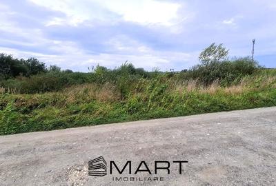 Teren extravilan 4800mp la intrare in Mohu - 3