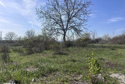 Spațiu comercial, în Aninoasa - 3