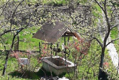 Casă cu 5 camere în Roșia de Amaradia - 2