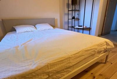 Cismigiu Parc Metrou  Izvor,DECOMANDATA,Ideala pentru investitie ,Ultrancetrala - 5